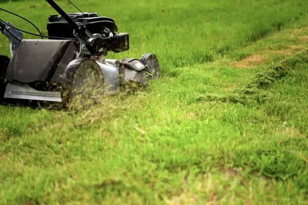 Perfekter Rasen leicht gemacht: Professionelles Rasenmähen und Trimming