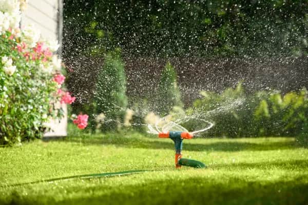 Effiziente Gartenbewässerung: Sichern Sie das Wachstum Ihres Gartens